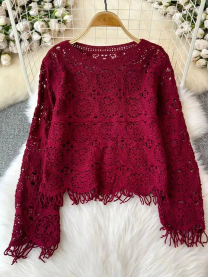 Sheer Crochet Top Embroidery Lace Blouse Long Sleeve Open-knit Crop Tops for Women Spring Summer 2024 Boho Vacation Outfit
